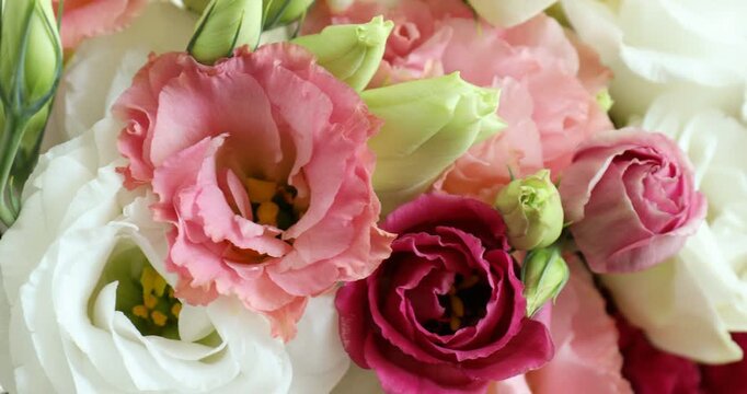Bouquet of beautiful eustoma flowers indoors, closeup. Camera moving right