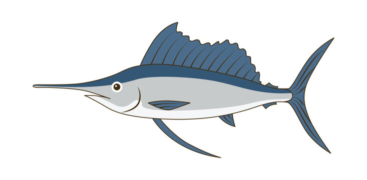 バショウカジキのシンプルフラットイラスト｜秋の海鮮・魚素材