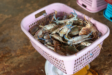 Fresh blue crabs packed basket at local seafood market showing raw shellfish prepared for sale cooking traditional coastal cuisine © JP.Studio