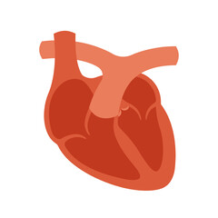 Obraz premium Anatomical Heart Illustration - Medical Symbol, Health Care Concept