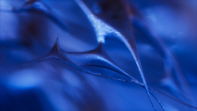 Delicate Glossy Spikes Blue Macro Detail
