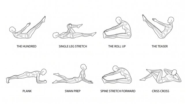 Set of eight pilates exercise poses illustrated with line art figures.
