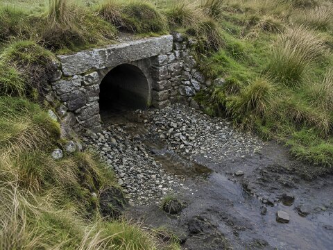 Old rubble stone culvert mouth with a cut stone lintel in a tussocky field bank beside a stream