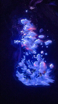 Blue fire of Kawah Ijen volcano, Java, Indonesia