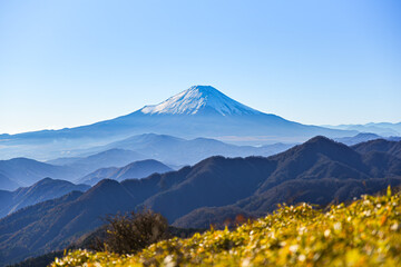 Fototapeta premium 晩秋の丹沢・丹沢山から塔ノ岳への主脈縦走路から見た富士山