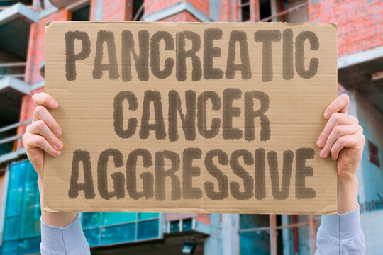 "Pancreatic cancer aggressive" Highly lethal malignancy with poor prognosis. PANCREATIC. AGGRESSIVE. LETHAL. PROGNOSIS. MORTALITY.