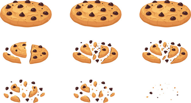 Chocolate chip cookies vector set showing step by step explosion from whole biscuit to crunchy crumbs