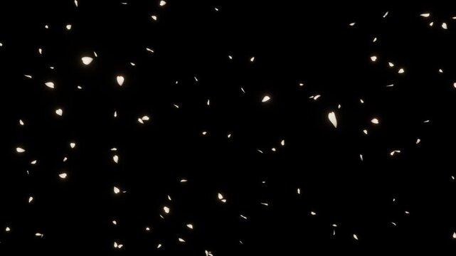 桜の花びらが暗闇から眩い金銀の光彩を放ち舞い降りるループ動画。アワード表彰式や高級ブランドプロモーション、式典オープニングに最適な優美な輝きで空間を彩るシネマティック素材