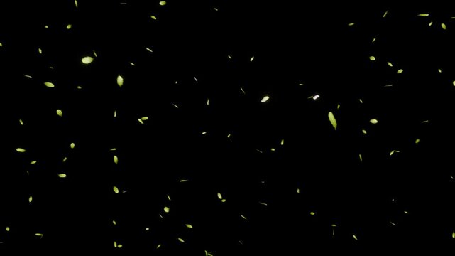 新緑の若葉が鮮やかな黄緑色の光を放ち空へ舞い上がるループ動画。環境サステナビリティ展示やオーガニック製品CM、初夏セールLPに映える瑞々しい光粒子が拡散するシネマティック素材