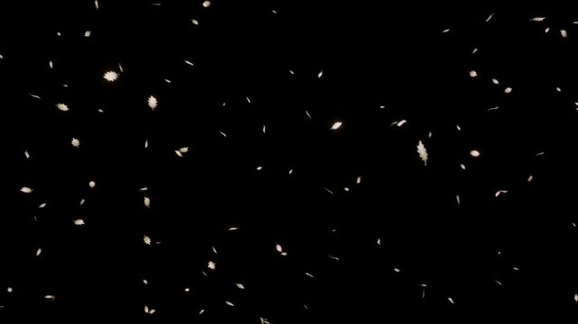 柊の葉が豪華なホワイトゴールドの光彩を放ち煌めき降り注ぐループ動画。ホリデーシーズンの高級宝飾広告、アワード式典スライド、エレガントなWebトップに調和するゴージャスな背景素材