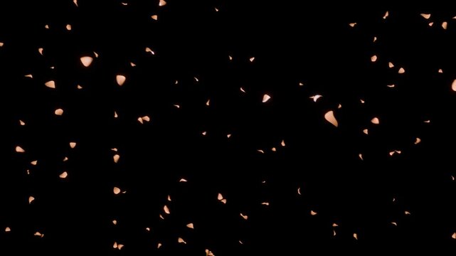 薔薇の花びらが重厚なブロンズゴールドの光沢を纏い静かに旋回するループ動画。大人のバーラウンジPV、アンティークジュエリー展、秋の高級催事に最適な深みあるシネマティック素材