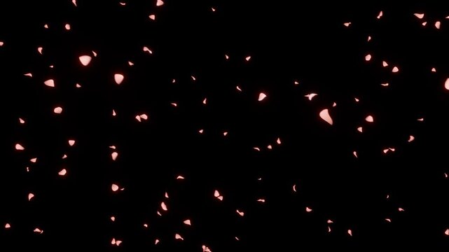 薔薇の花びらが柔らかなピーチコーラルに染まりふわりと漂うループ動画。春の新作コスメプロモーション、美容サロンLP、女性向けギフトキャンペーンに最適な温もりある演出素材