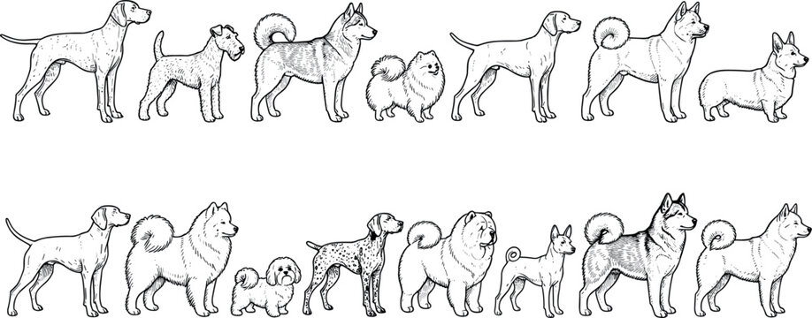 Detailed hand drawn dog breeds vector illustration collection featuring engraved line art profile sketches standing in two rows