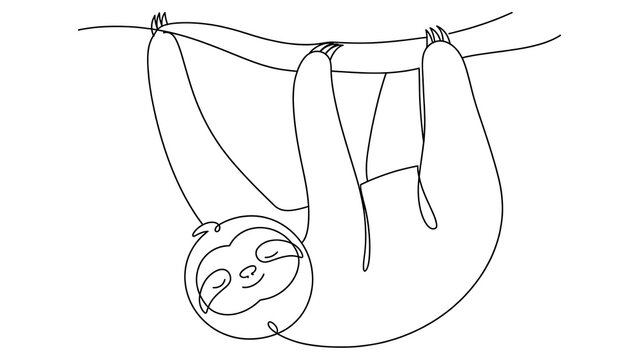 Sloth hanging upside down white background.