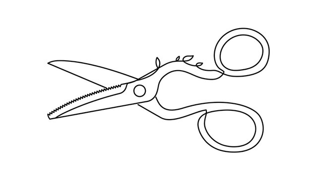 Scissors cutting tool white background.