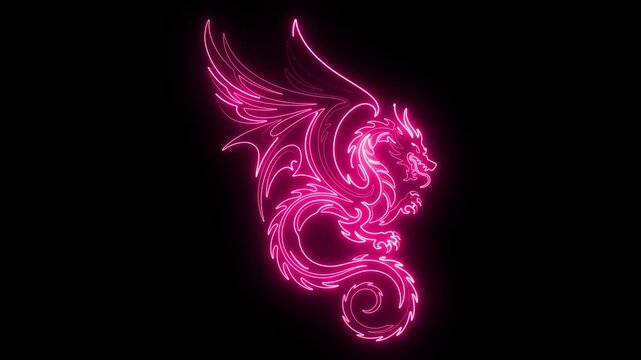 Pink neon dragon silhouette with spread wings on black background glowing outline 4k video.