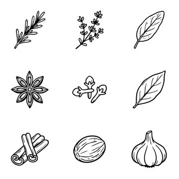 Culinary herbs & spices doodle set with rosemary, thyme, bay leaf, star anise, cloves, cinnamon sticks, nutmeg, and garlic.