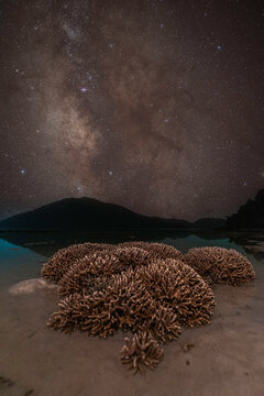 Astrophotography. Milky way with  night sky
