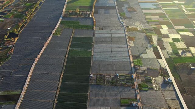 Aerial drone view of large-scale agricultural greenhouse farms with plastic-covered rows and open fields in rural China