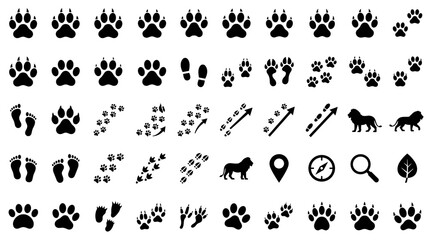Obraz premium 50 Lion Paw Footprint Silhouette Icons for Wildlife Tracking, Safari Trails, Animal Research, Jungle Exploration and Nature Illustration