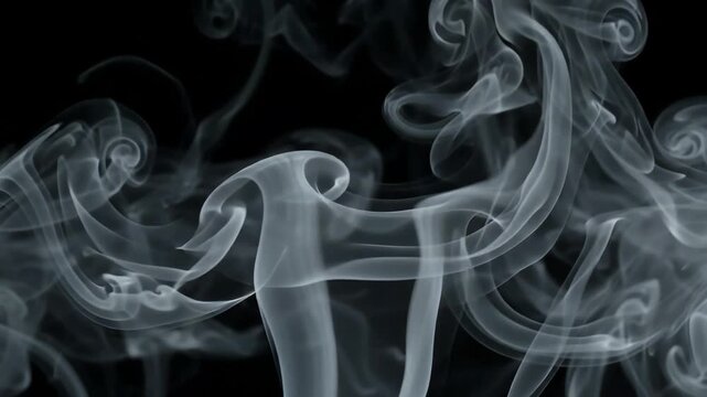 Elegant white wispy smoke curls rising slowly against a plain black background swirl abstract vapor flow motion