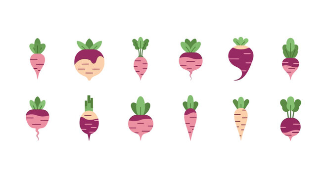 Set of twelve colorful flat vector icons featuring various types of fresh garden beets and root vegetables with green leaves isolated on white