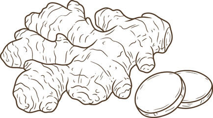 Obraz premium Detailed brown ink line art vector graphic depicting raw ginger plant root beside two fresh round slices