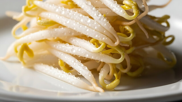 Fresh mung bean sprouts piled on a ceramic plate with crisp white stems and yellow tips showcasing raw nutritious vegetables for healthy cooking salads stir fry meals and plant based cuisine