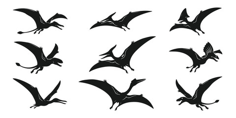 Set of flying pterodactyl silhouettes © MDANISUR
