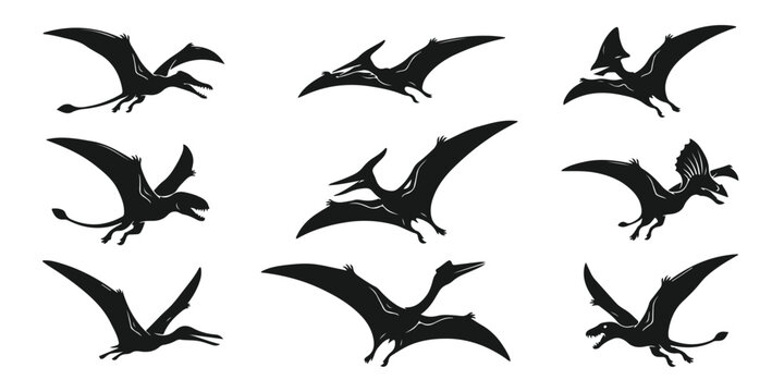 Set of flying pterodactyl silhouettes