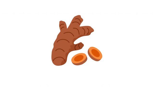 turmeric root, turmeric whole root and slice