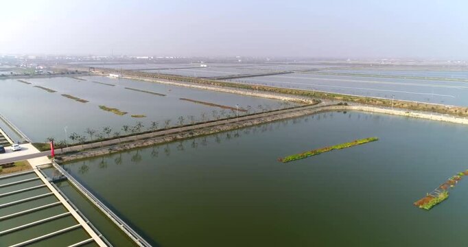 Aerial drone footage of large-scale fish farm ponds with water channels, levees, and floating vegetation in rural China