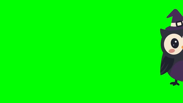 Halloween Cartoon Owl Peeking and Winking on Green Screen Video Effect