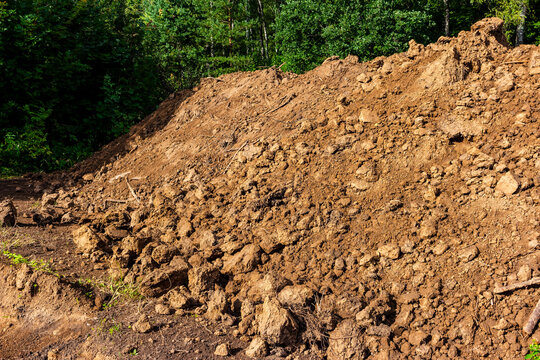 Large mound of brown earth from excavation works piled up near forest edge, raw dirt texture with clods and debris in bright daylight for construction or gardening site