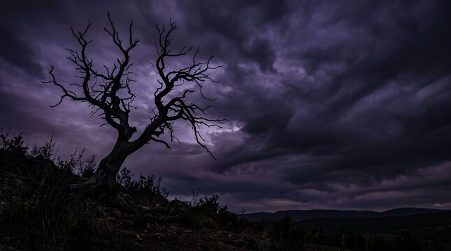 Dark Storm Clouds Time Lapse over Forest Trees at Sunset Horizon