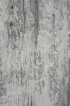 Old Wood Background with Cracked Flaking White Paint