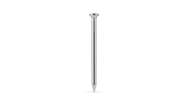 nail isolated on white background