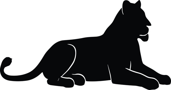 Elegant black silhouette of a wild lioness lying down vector illustration isolated on white