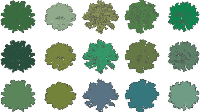 landscape architecture tree top view symbols for architectural site plan design and master planning rendering