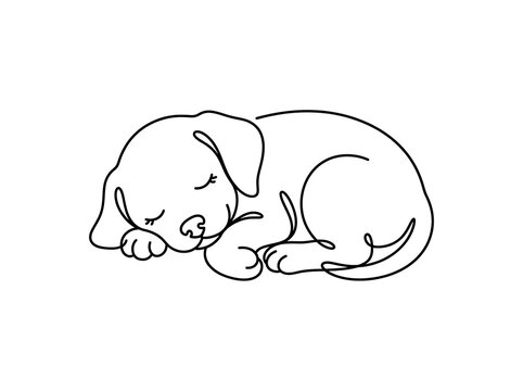 Continuous line art vector illustration of a cute sleeping puppy, cozy pet design concept