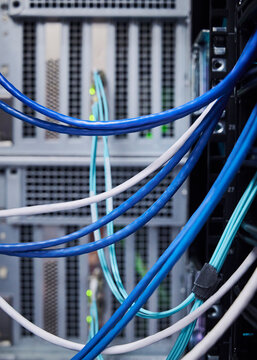 Network Cables and Server Equipment in Data Center