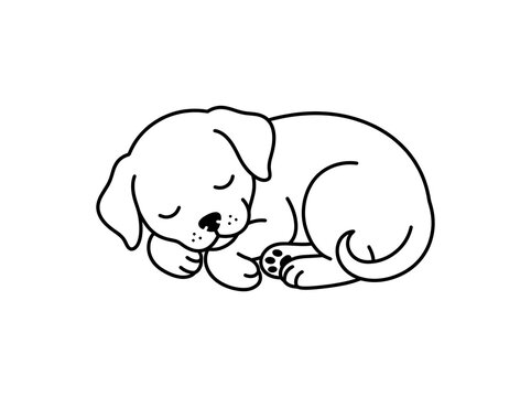 Continuous line art vector illustration of a cute sleeping puppy, cozy pet design concept