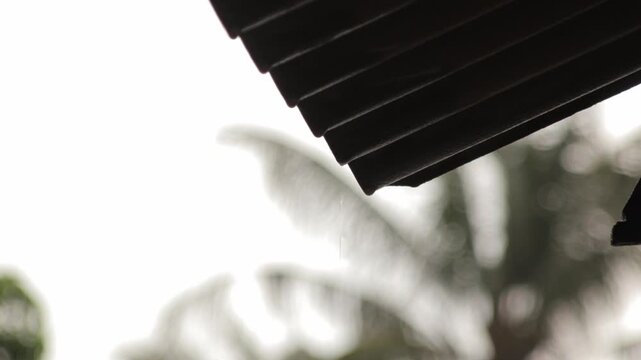 Rain drops falling from roof edge with tropical tree background