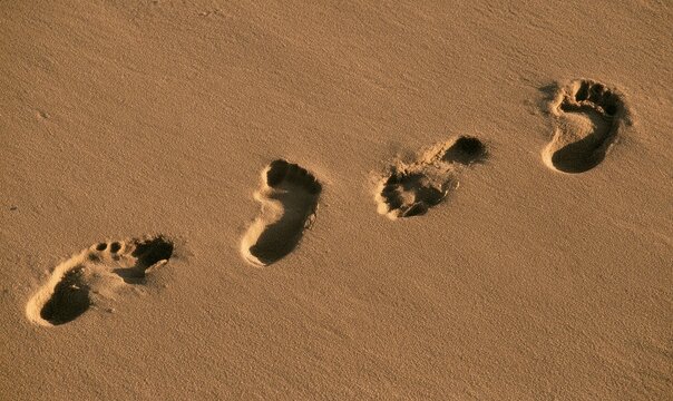 Four distinct footprints pressed into golden sand, showing texture