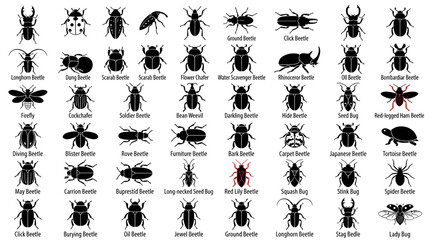 Fototapeta premium Beetle species silhouette vector set with stag ladybug and scarab collection