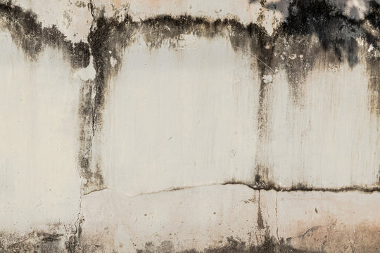 Old Dirty Concrete Wall with Mold and Water Stains