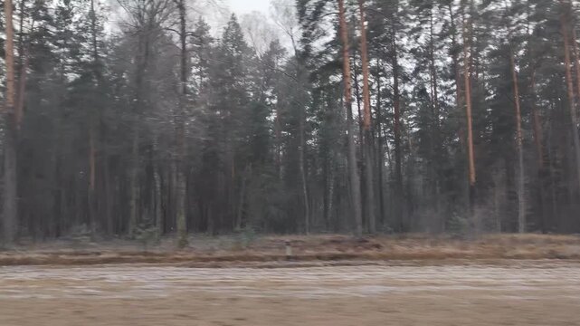 Pov train window view. Moving along frozen woods, winter cold countryside landscape, without snow. The view from the side window of the car. A gray, cold landscape. A snowless winter.
