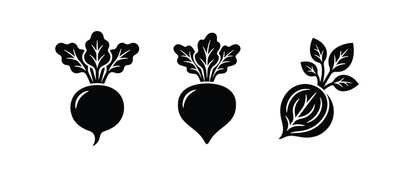 beets with leafy greens isolated on transparent background for food design projects