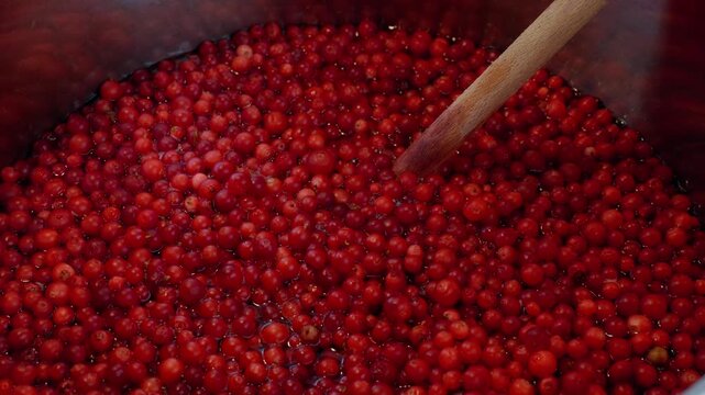 High angle close-up of fresh red lingonberries heating in pot with resting wooden spoon during home jam making process   