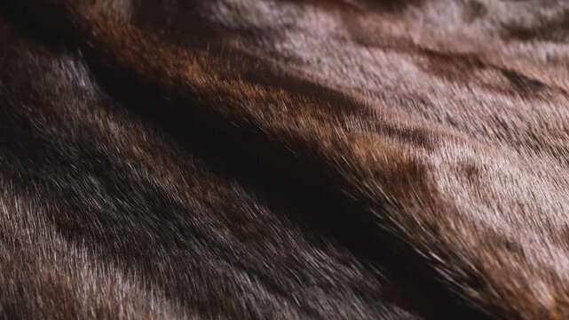 A close-up of a mink coat fur texture with soft brown ripples, luxurious genuine dark animal hair clothing, elegant natural premium winter fashion garment material, and expensive luxury apparel macro.